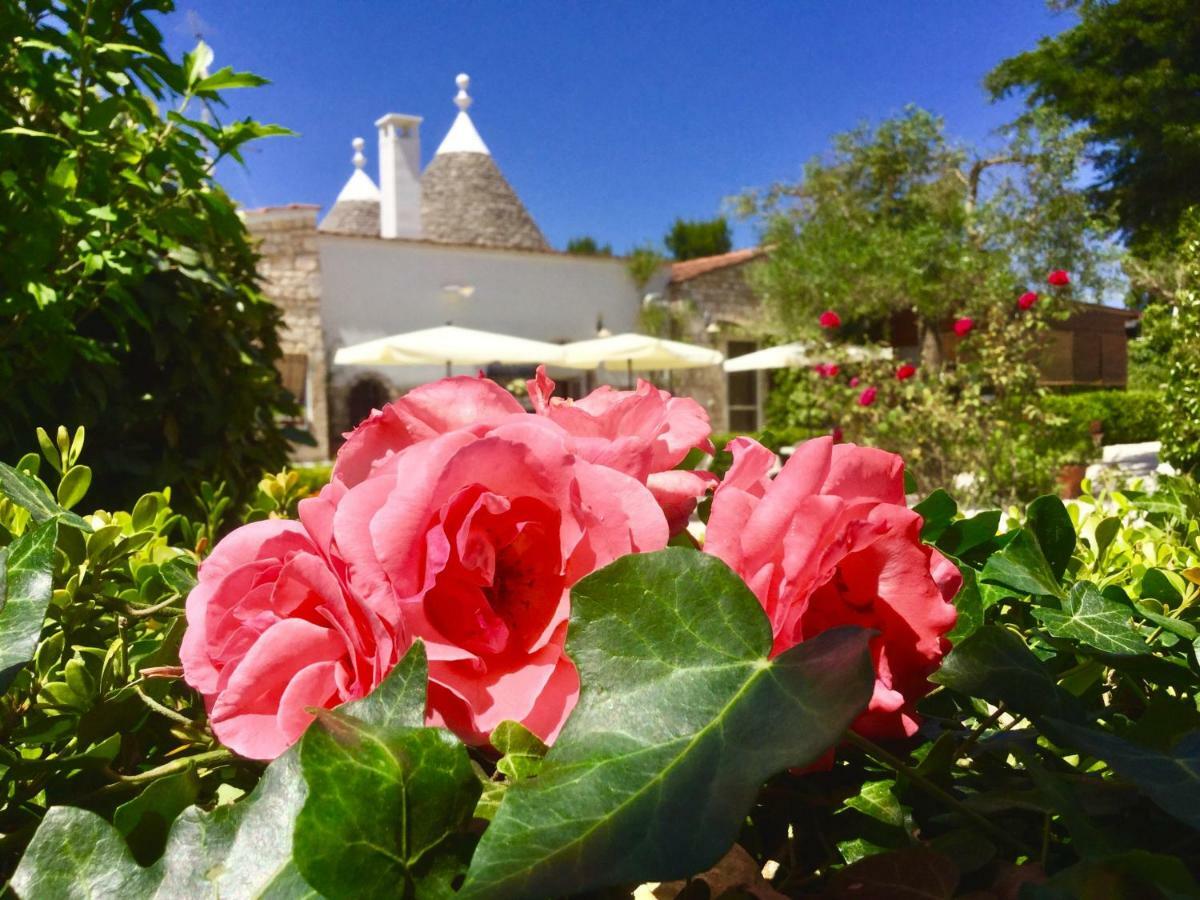 Mirella Charming Bed & Breakfast Alberobello Eksteriør bilde